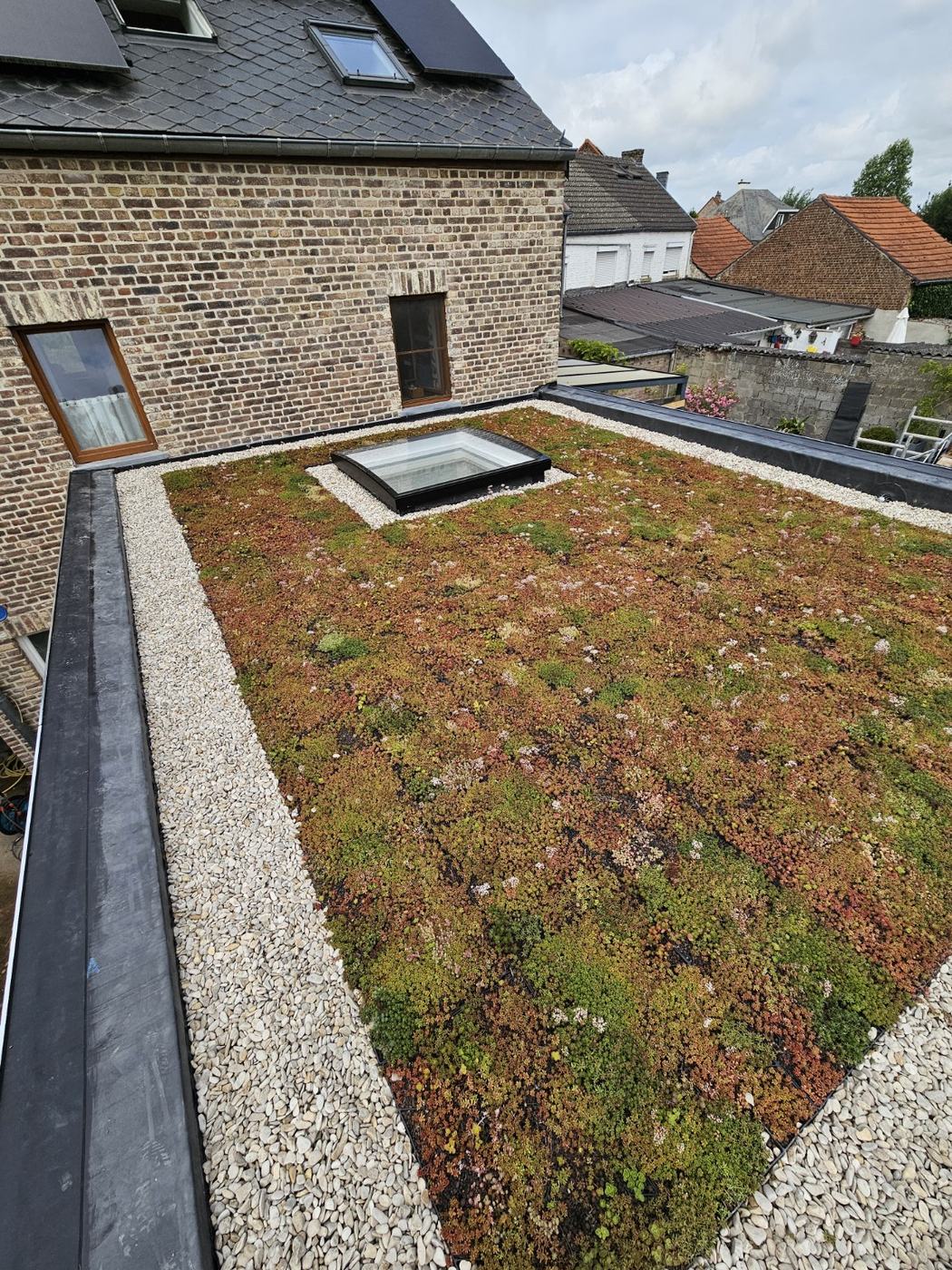 Nouvelle toiture verte sur membrane EPDM à Hélécine - photo 3