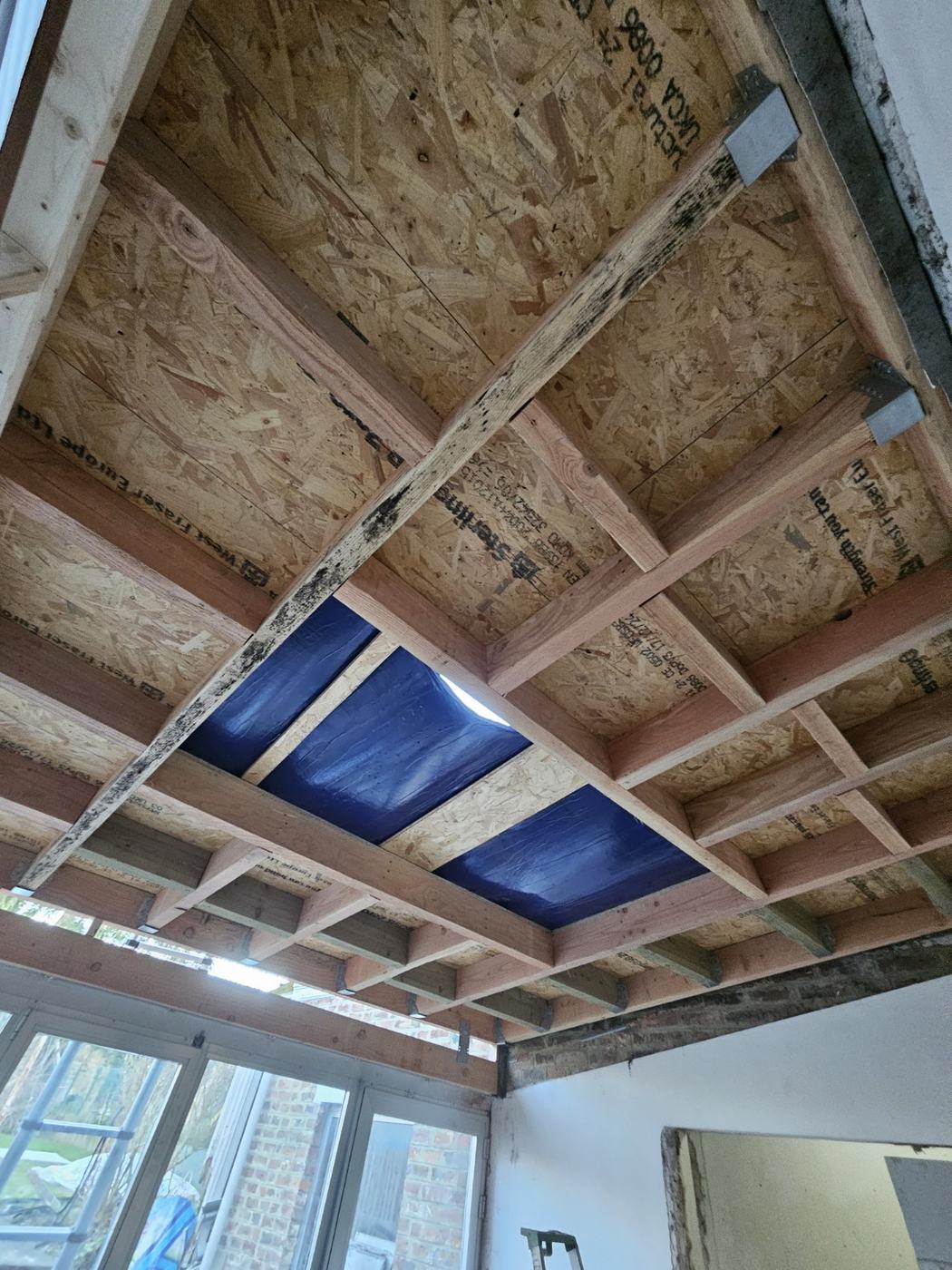 Nouvelle charpente et toiture plate EPDM à Namur - photo 3
